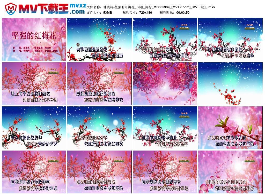 韩晓辉-坚强的红梅花_国语_流行_MD305939